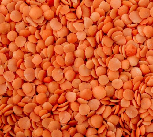 lentils-red-dry-uncooked-lentils-