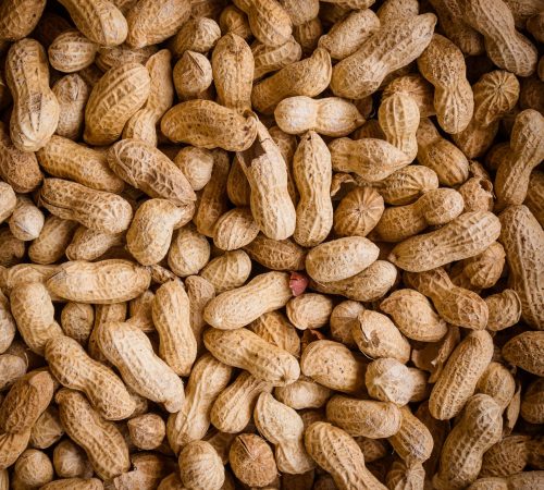 peanuts-background-raw-peanuts-many-peanuts