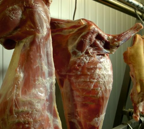 pig-carcasses-at-slaughterhouse-close-up-2022-01-28-05-49-34-utc